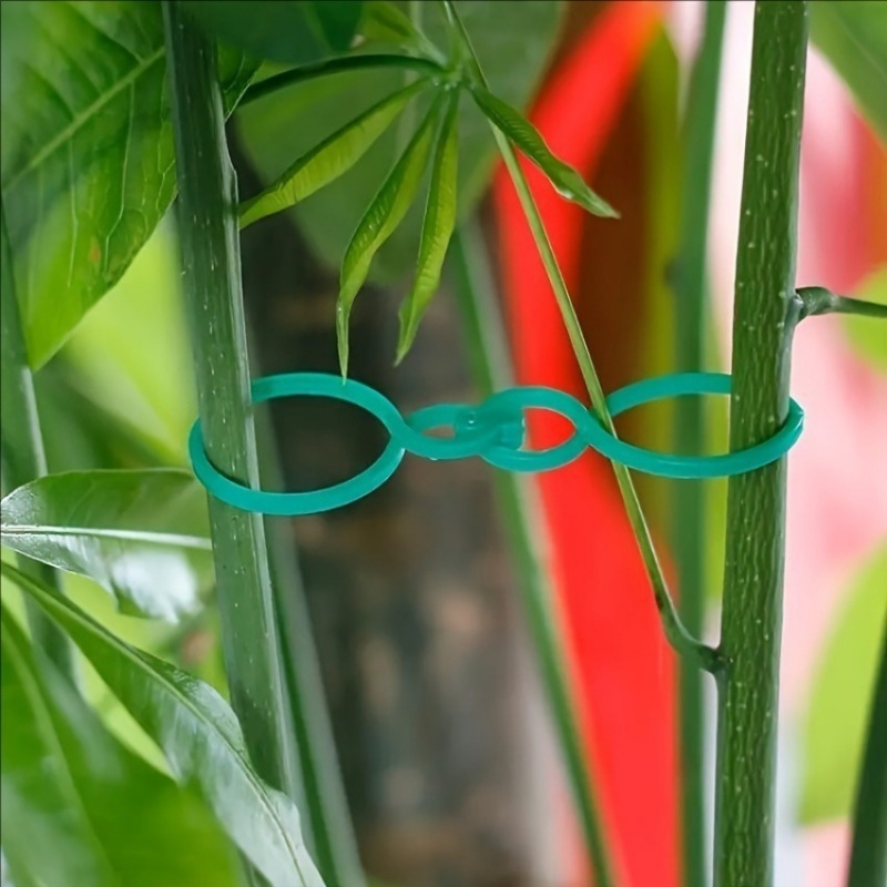 125Pcs Garden Plant Support Ki - Vine Climbing Plastic ulasan dan harga