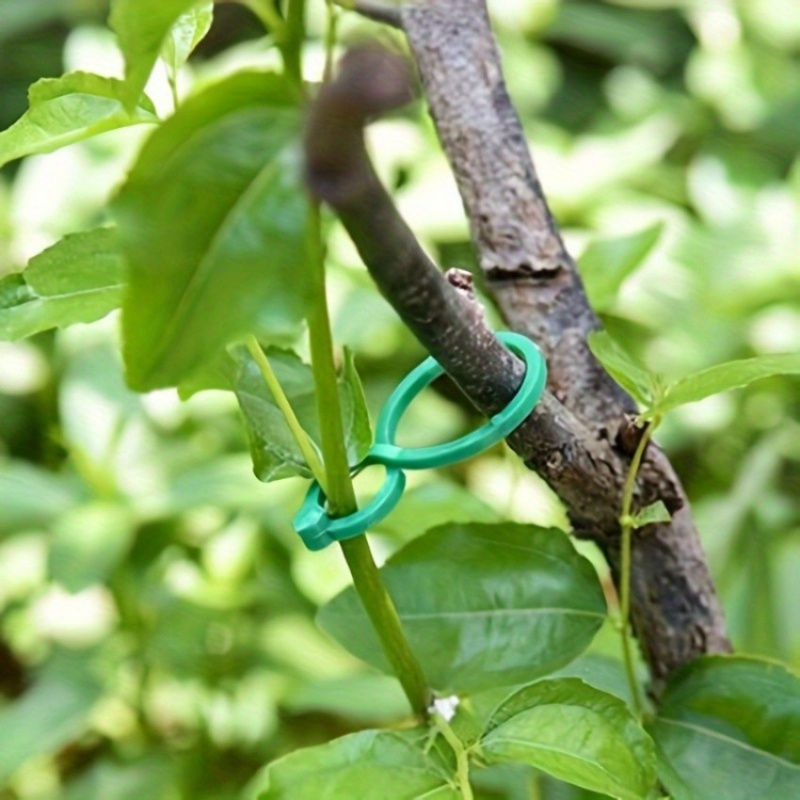 125Pcs Garden Plant Support Ki - Vine Climbing Plastic ulasan dan harga