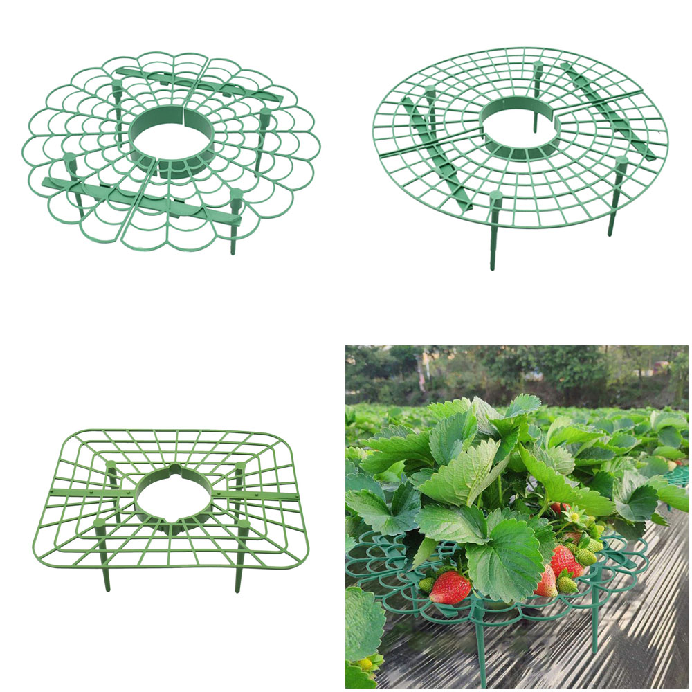 Strawberry Stand Frame Holder  - Vine Climbing Plastic ulasan dan harga