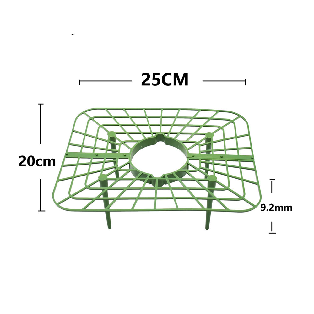 Strawberry Stand Frame Holder  - Vine Climbing Plastic ulasan dan harga