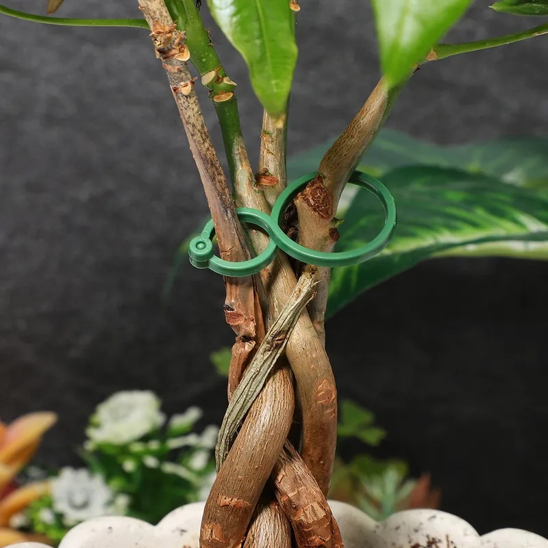 50-400Pcs Plant Support Clips  - Vine Climbing Plastic ulasan dan harga