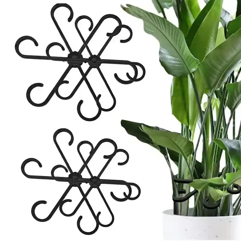 Stem Support Alocasia Monstera - Vine Climbing Plastic ulasan dan harga