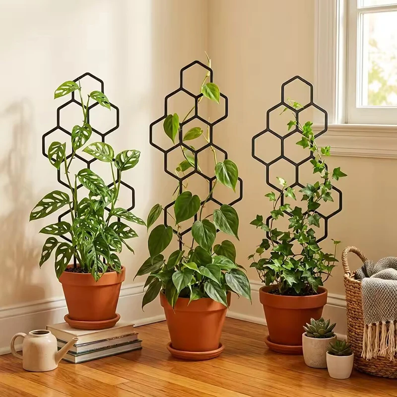 2/4pcs Honeycomb Design Plant  - Vine Climbing Plastic ulasan dan harga