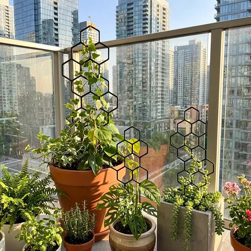 2/4pcs Honeycomb Design Plant  - Vine Climbing Plastic ulasan dan harga
