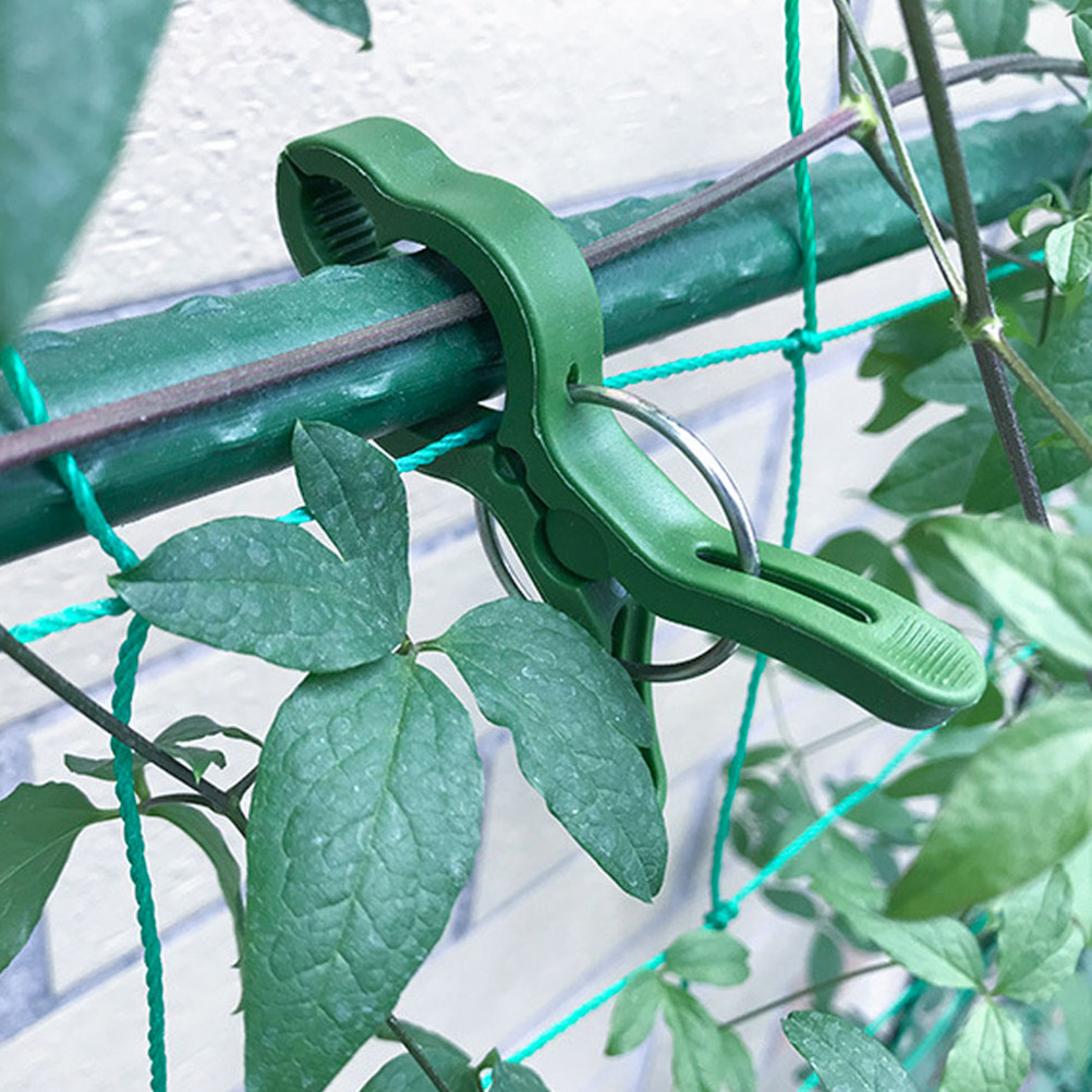 60Pcs Plant Support Clips for  - Vine Climbing Plastic ulasan dan harga
